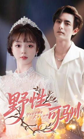 短剧《野性可驯》海报