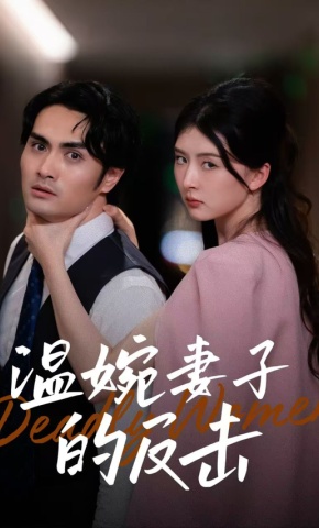 短剧温婉妻子的反击海报