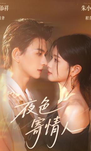 短剧《夜色寄情人》海报