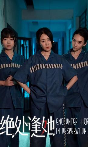 短剧《绝处逢她》海报