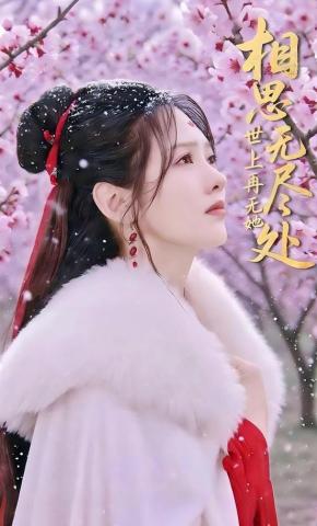 短剧《相思无尽处世上再无她》海报