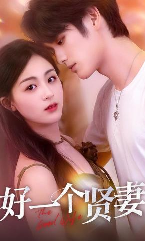 短剧《好一个贤妻》海报