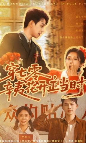 短剧《穿七零，辛夷花开正当时》海报