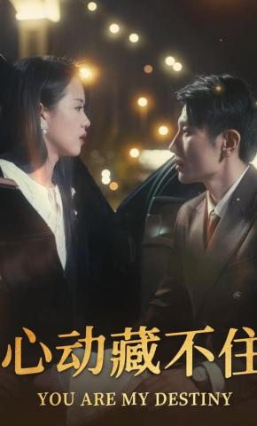 短剧心动藏不住海报