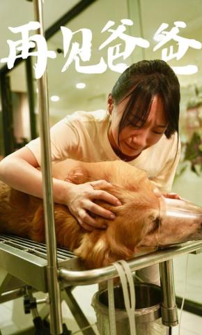 短剧《再见爸爸》海报