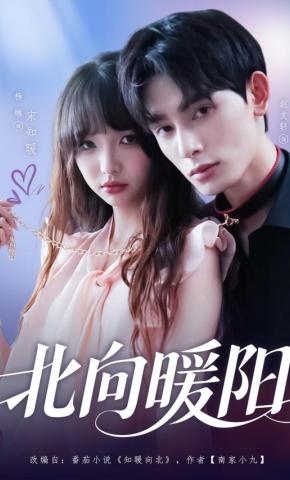 短剧《北向暖阳》海报
