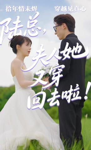 短剧《陆总，夫人她又穿回去啦》海报