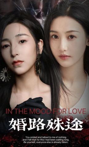 短剧《婚路殊途》海报