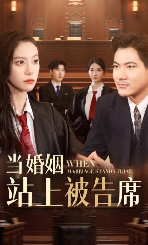 短剧《当婚姻站上被告席》海报