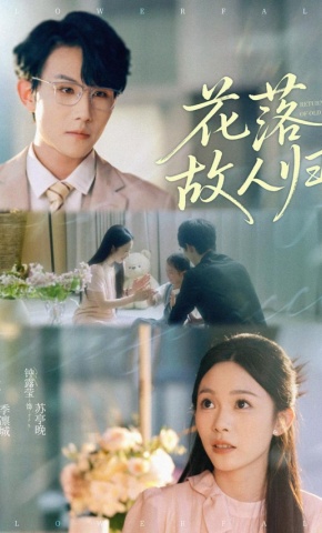 短剧《花落故人归》海报