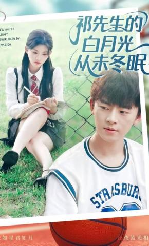 短剧《祁先生的白月光从未冬眠》海报