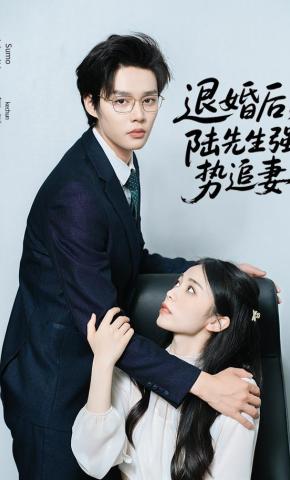 短剧《退婚后，陆先生强势追妻》海报