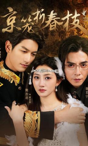 短剧京笼折春枝海报