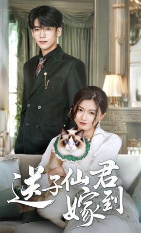 短剧《送子仙君嫁到》海报