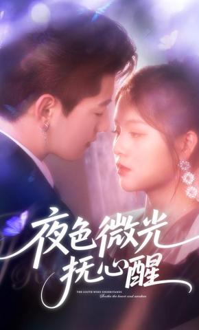 短剧《夜色微光抚心醒》海报