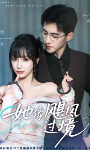 短剧《她像飓风过境》海报