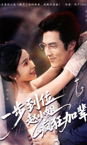 短剧《一步到位赵小姐疯狂加辈》海报