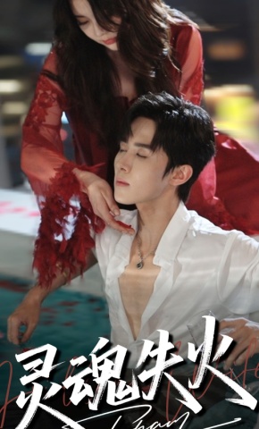 短剧灵魂失火海报