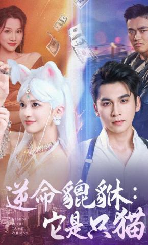 短剧《逆命貔貅：它是只猫》海报
