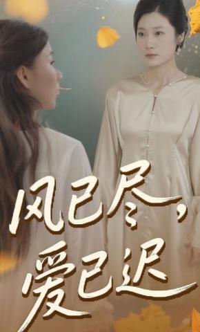 短剧《风已尽爱已迟》海报