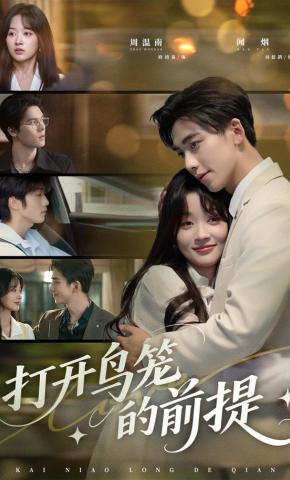 短剧《打开鸟笼的前提》海报