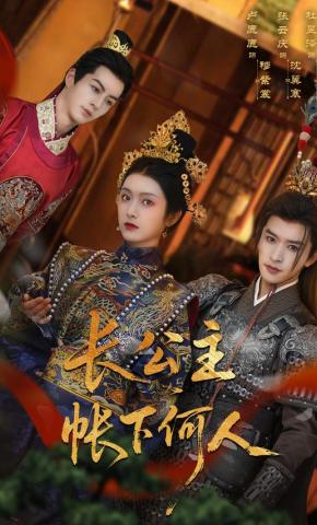 短剧《长公主帐下何人》海报