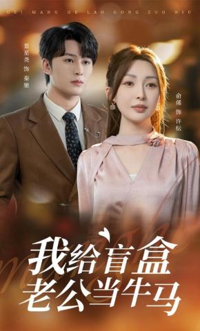 短剧《我给盲盒老公当牛马》海报