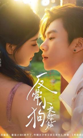 短剧《反骨小狗求贴贴》海报