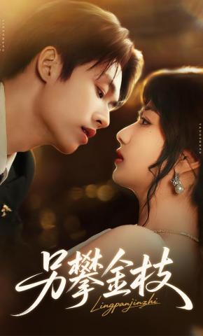 短剧《另攀金枝》海报