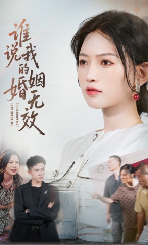 短剧谁说我的婚姻无效海报