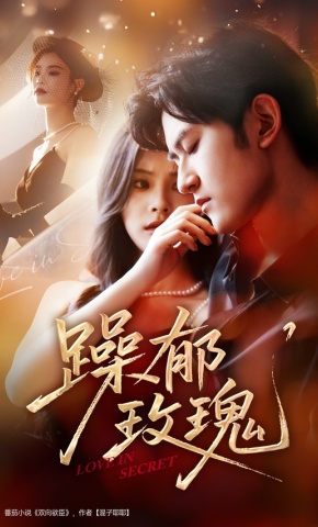 短剧《躁郁玫瑰》海报