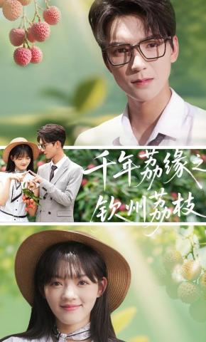 短剧《千年荔缘之钦州荔枝》海报