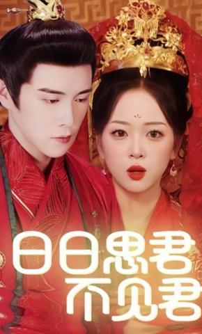 短剧《日日思君不见君》海报