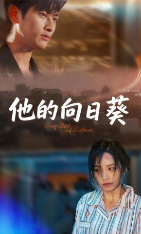 短剧《他的向日葵》海报