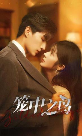 短剧《笼中之鸟》海报