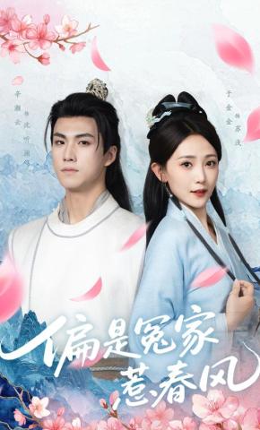 短剧《偏是冤家惹春风》海报