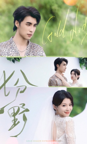 短剧七分野海报