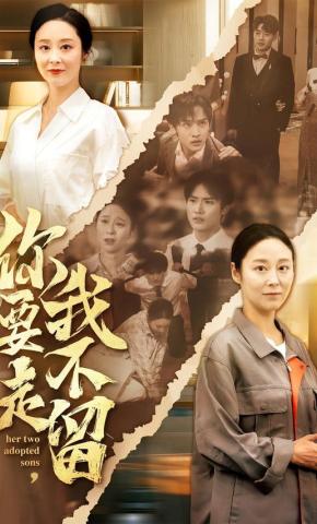 短剧《你要走，我不留》海报