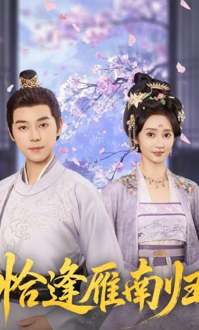 短剧恰逢雁南归海报