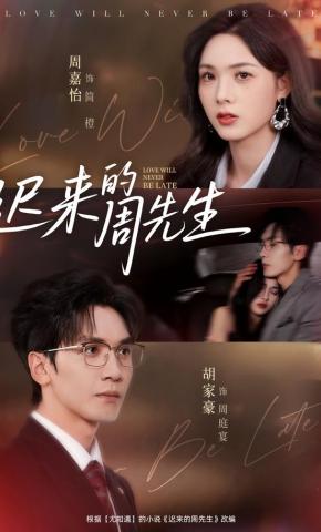 短剧《迟来的周先生》海报