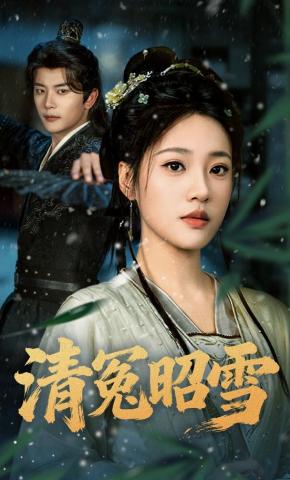 短剧清冤昭雪海报