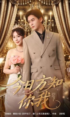 短剧《今日方知你我》海报