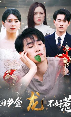 短剧回乡金龙不好惹海报