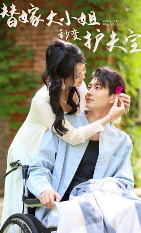 短剧《替嫁大小姐秒变护夫宝》海报