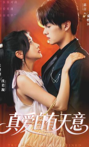 短剧《真爱自有天意》海报