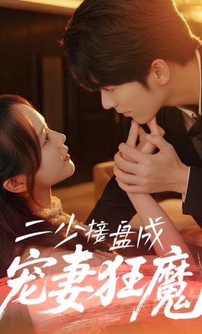 短剧二少接盘成宠妻狂魔海报