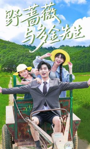 短剧《野蔷薇与多金先生》海报