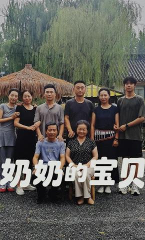 短剧《奶奶的宝贝》海报