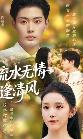 短剧《流水无情逢清风》海报