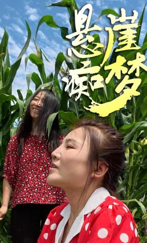 短剧《悬崖痴梦》海报